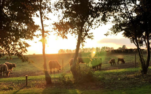 Husargårdens Bed & Breakfast