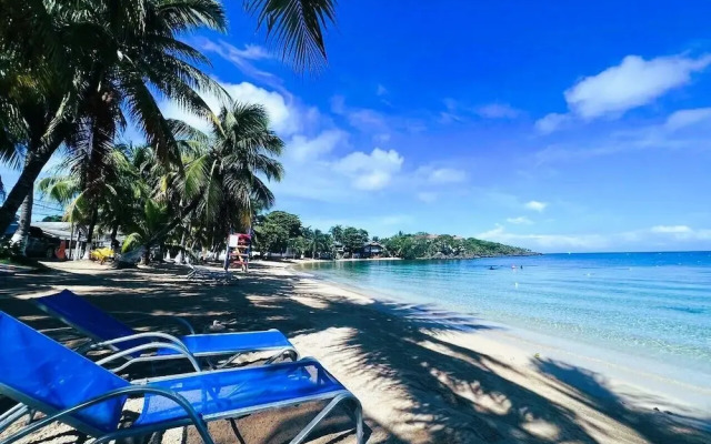 pent-house frente al mar