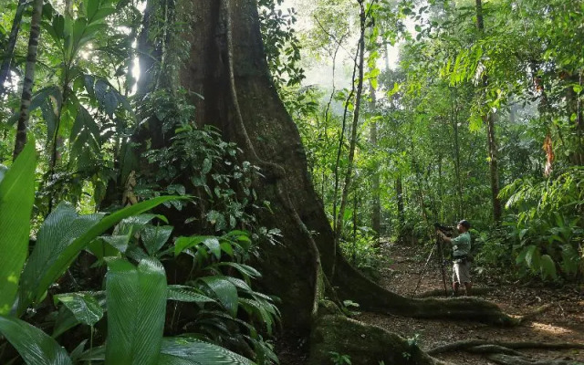 Corcovado Wilderness Lodge by Scp