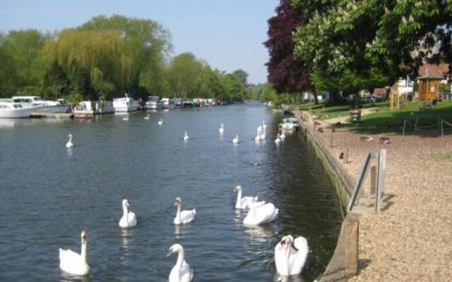 Yew Tree Guest House Bed & Breakfast