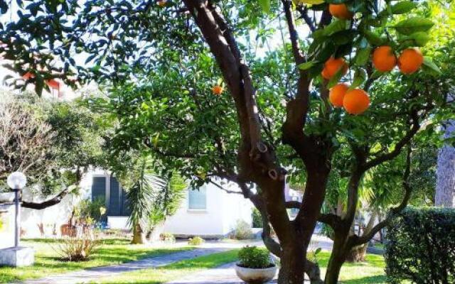 Holiday Home 1 Bedroom 1 Bathroom - Sestri Levante