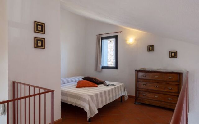 Maria Luisa (DOL286)