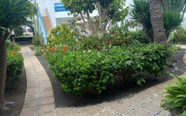 Corralejo Beach apartament
