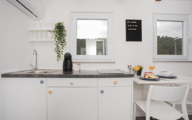 Studio Apartment Škatula