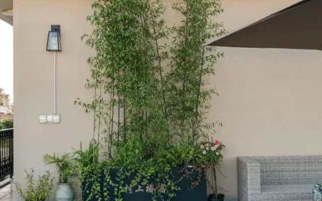 Shanghai Cunshangchunsu Homestay