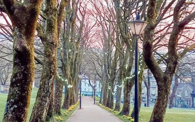 Market Mews Apartment 3