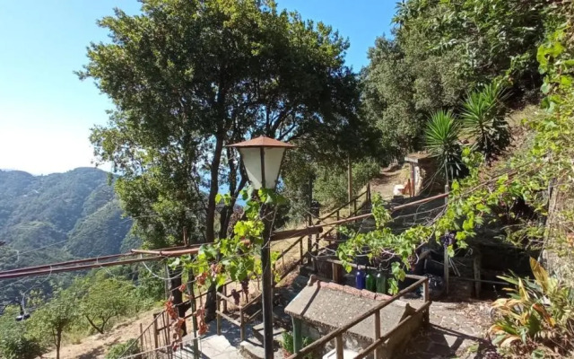 La quiete accesa