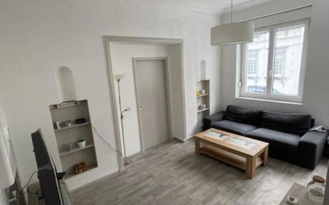 Superbe appartement rénové au centre de Forbach