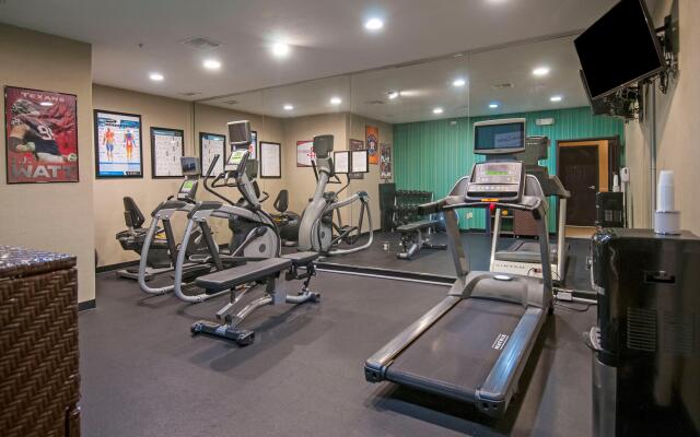 Holiday Inn Express & Suites Houston North Intercontinental by IHG