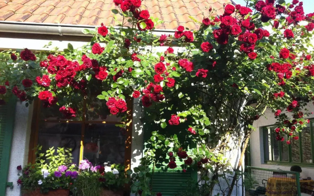 Sommer 81 - bed & breakfast