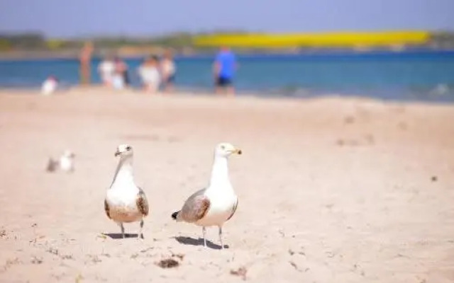 "Villa Sonnengarten", FeWo 3