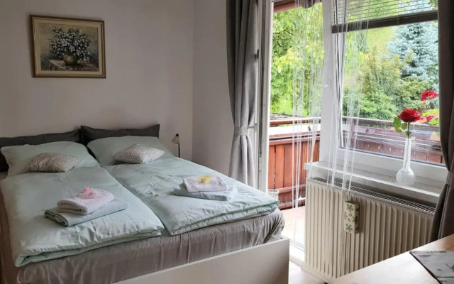 Apartma Svetina
