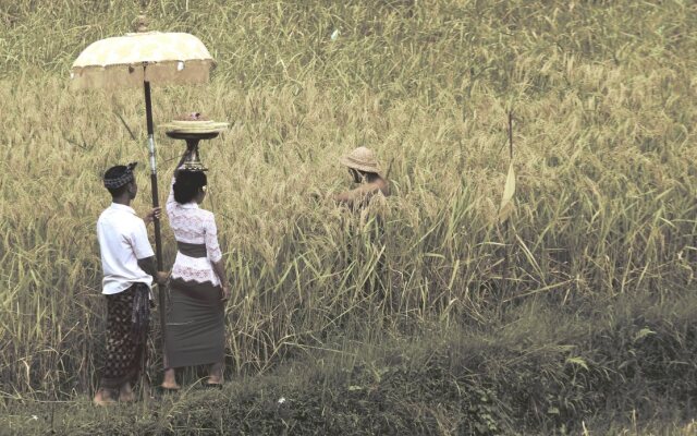 Kishi-Kishi Suites Ubud by EPS