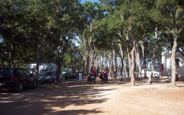 Villaggio Camping Bosco Selva