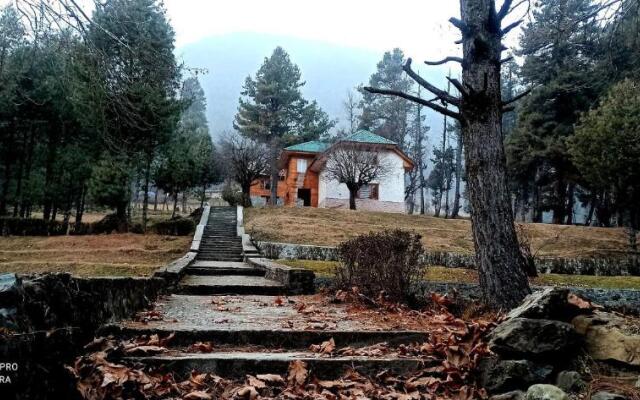 Pahalgam Woods