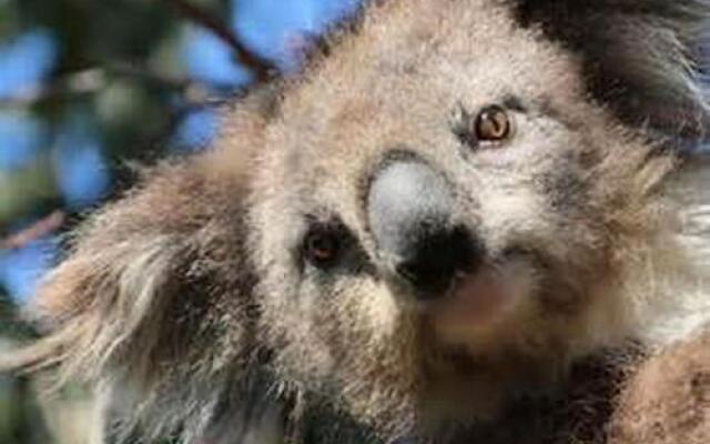 You Yangs Bed and Breakfast