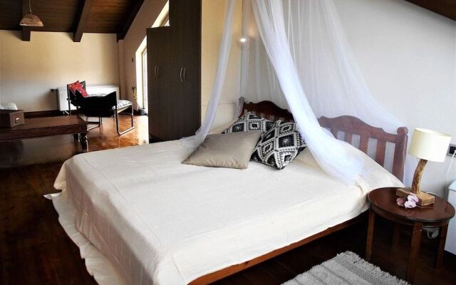 Eco Villa Belena for Nature & Wine Lovers