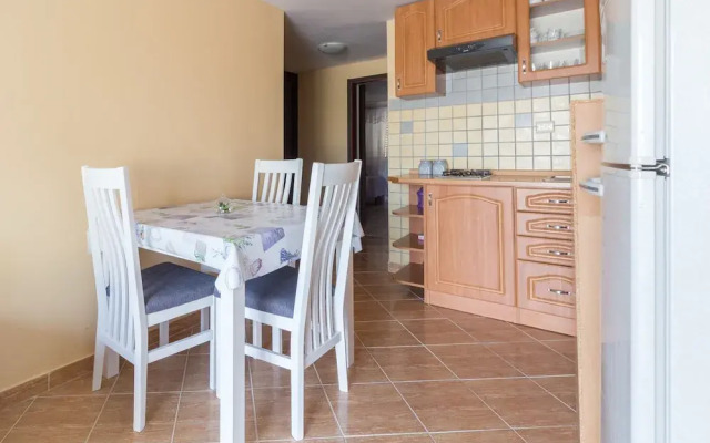 Fantastic Apartment Nika