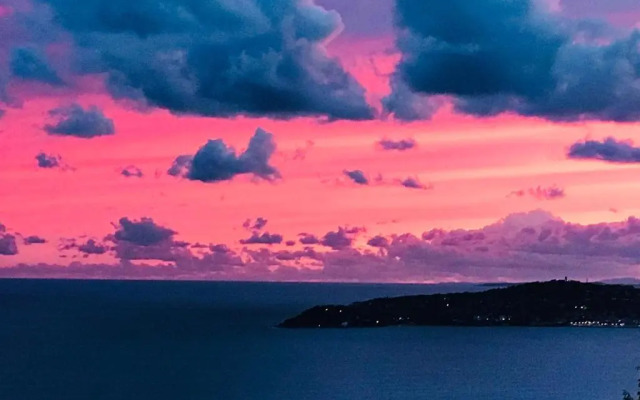 Costa Plana Collection