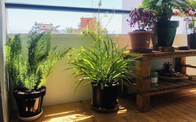 Apartamento Flamingo - 150m Playa