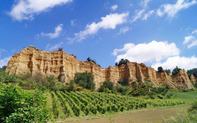 Palagio 23 in Chianti With Shared Pool