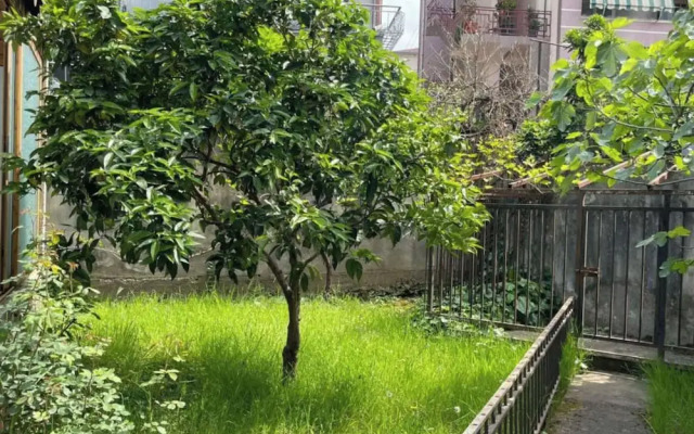 Kalpazo Tirana Vila 313