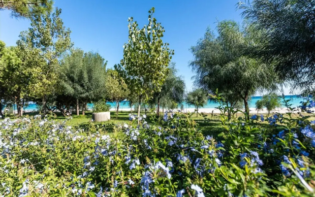 Romantic Beachfront Getaway