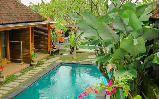 Dedeane Ubud – Pool – Ubud