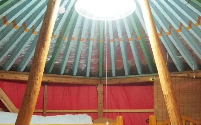 Daichan House - Campsite