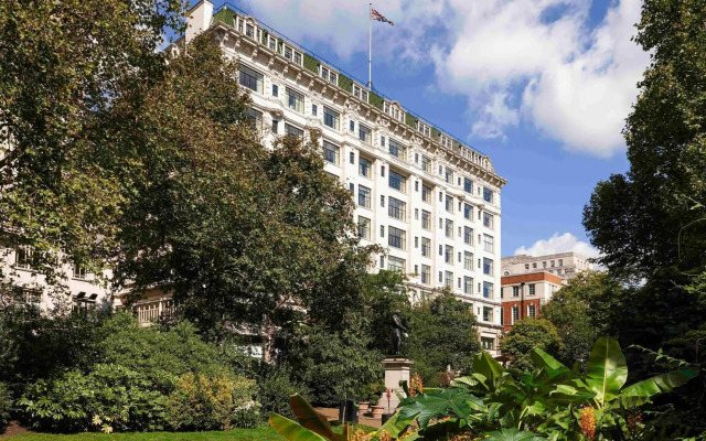 The Savoy