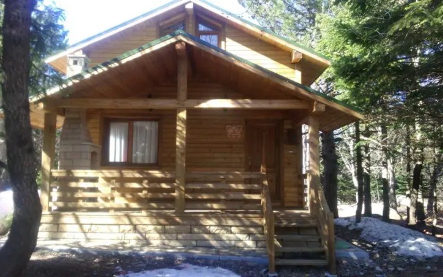 Uludag Orman Koskleri Sarialan