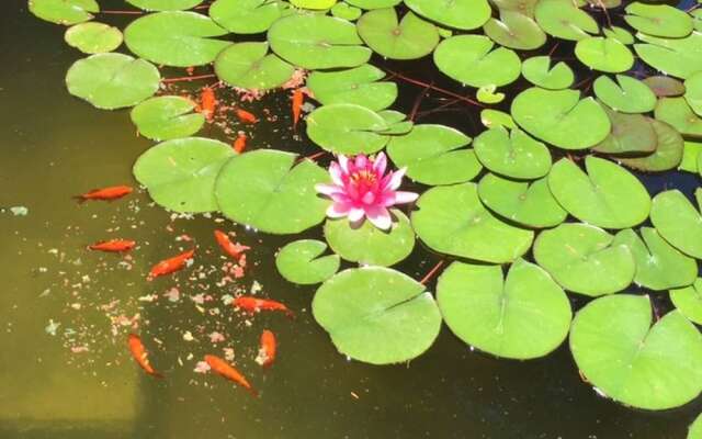 Park Residence Cicladi- 2