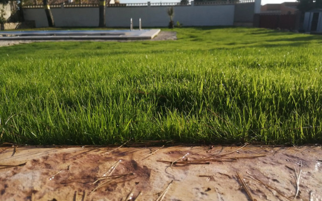 Las Yucas rural house