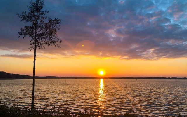 Marem Ritz-aurora Waren M Ritz