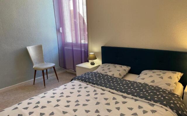 APPARTEMENT AU CENTRE VILLE de ROANNE 50 m²