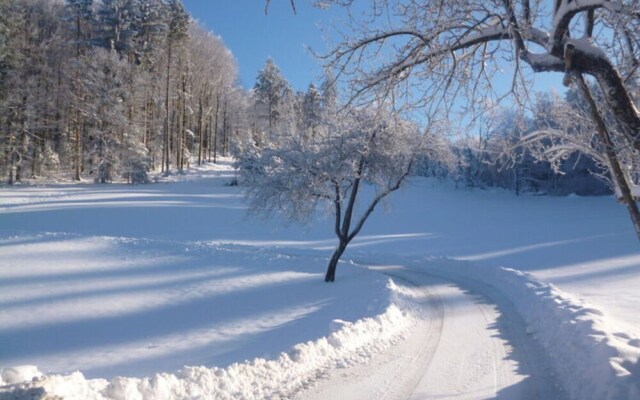 Holiday Apartment Ferienhof Benz