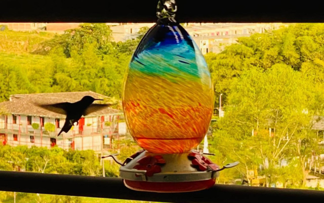 Colibri's Penthouse With Wild Hummingbirds & Views
