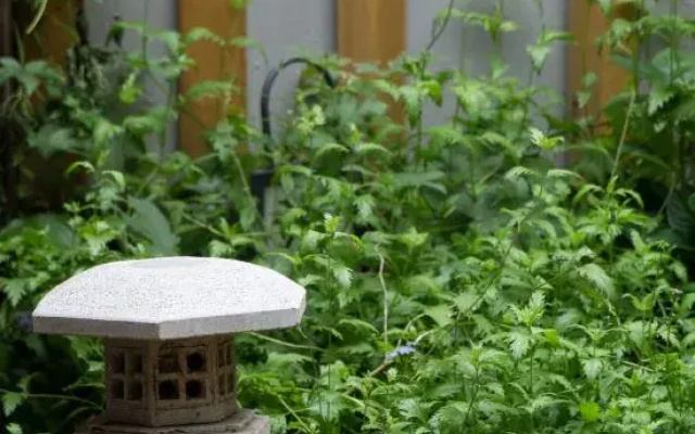 Beijing Liuhe Private Tang B&B