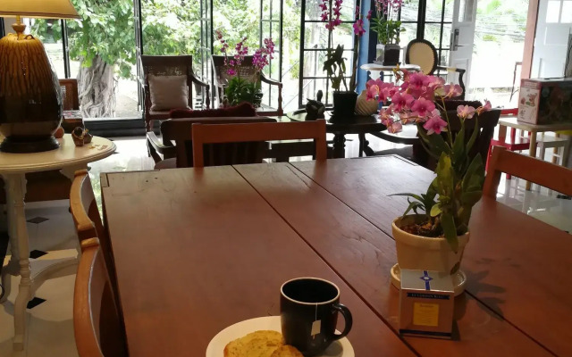 Bed In Town - Hostel