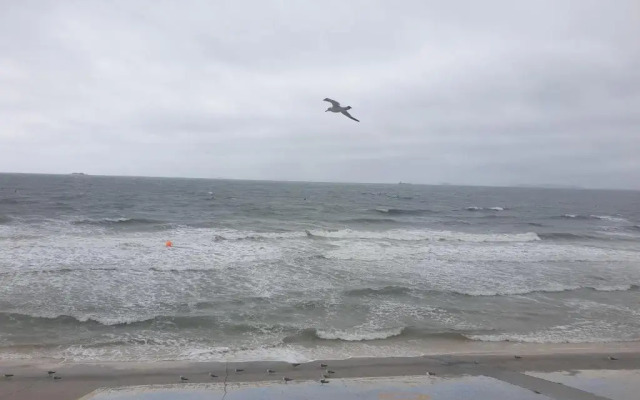 Daecheon Blue Whale Hill