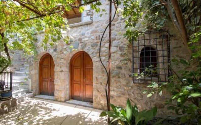Laconian Collection  Mystras 1911