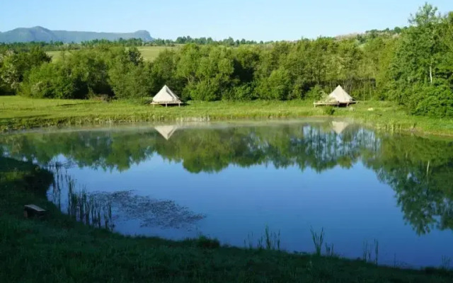 Hotelul de Bumbac-Crapul Furios