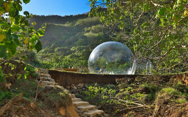 BubbleHotelBali - Glamping