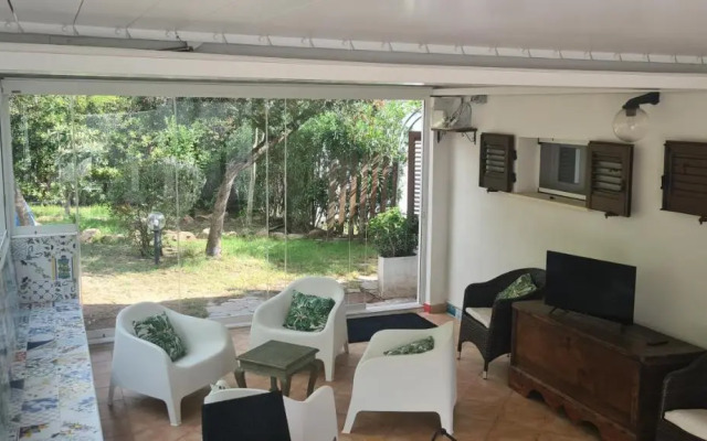 Jungle House - Pineta Is Morus