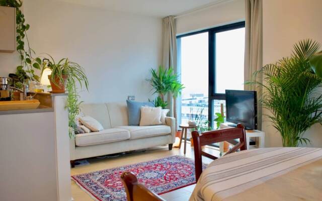 Modern 1 Bedroom Flat With Balcony Near Canary Wharf