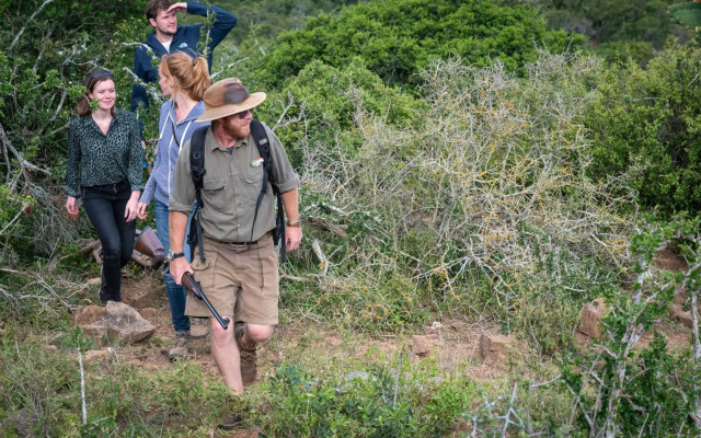 Elephants Lodge - Bellevue Forest Reserve