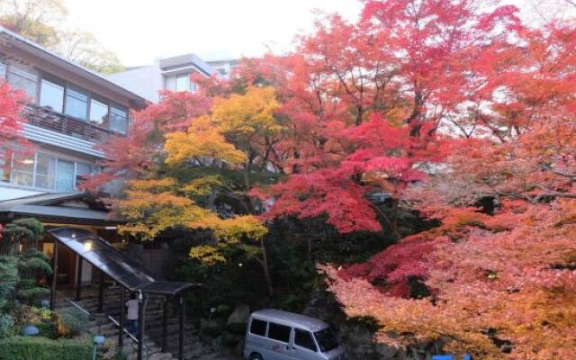 Negiya Traditional Japanese Spa Ryokan