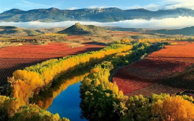 Albergue La Bodega