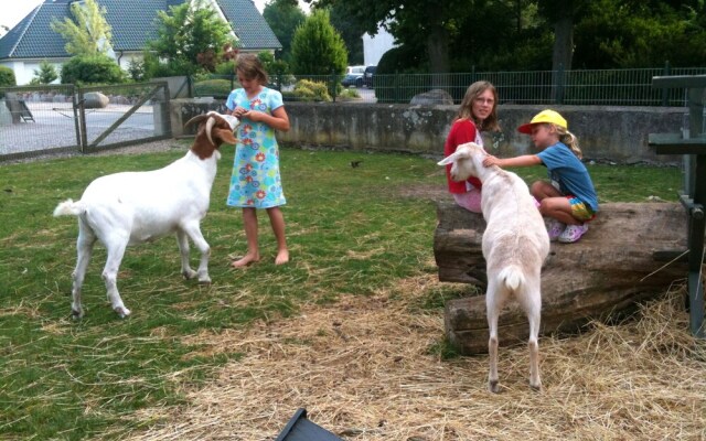 Ferienhof Alte Mühle - Mühle 2