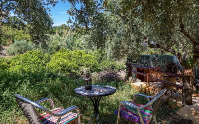 The Olive House